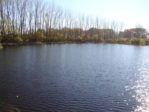 Property photo 1 - 24.8 Acre Absolute Real Estate Auction - Tillable Land with Pond and Woods